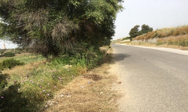 Siracusa, prosegue il diserbo sulle strade provinciali