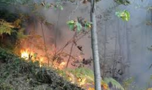Siracusa, incendi estivi: il sindaco Italia emana l'ordinanza di prevenzione