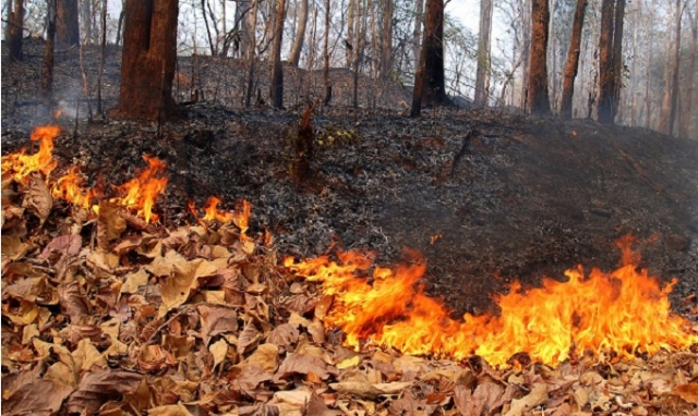 Canicattini Bagni, incendi estivi: il sindaco firma l'ordinanza di prevenzione