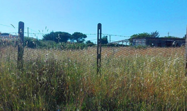 Siracusa, pulizia banchine e terreni: Buonomo e Ricupero "Si utilizzi il fondo di riserva del sindaco"