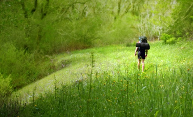 Siracusa, Pro Natura scrive a Governo e Regione: "Sbloccate le escursioni"