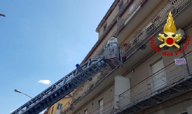 Lentini, intervento dei vigili del fuoco per sciame di api