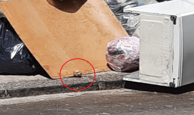 Siracusa, bomba o grosso petardo alla Borgata: area circoscritta in attesa degli artificieri