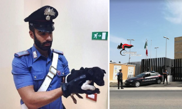 Augusta, legata ad una catena all'interno di una casa fatiscente: cagnolina liberata e proprietario denunciato