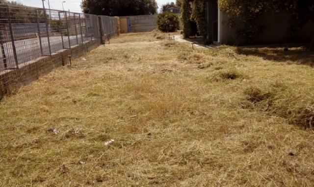 Ostello della Gioventù 1