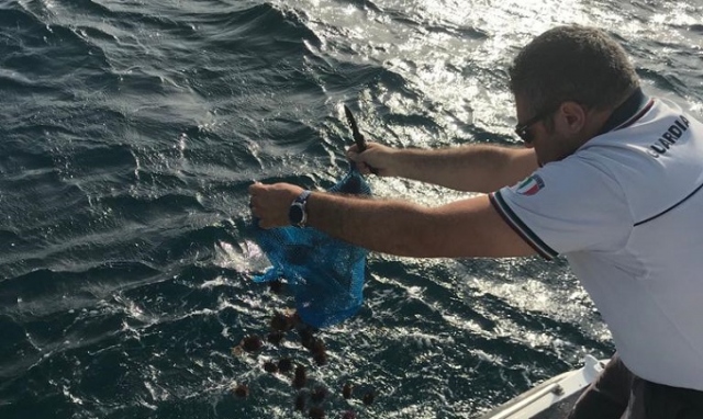 Augusta, sequestrati 5 chili di pescato e 800 ricci a Brucoli