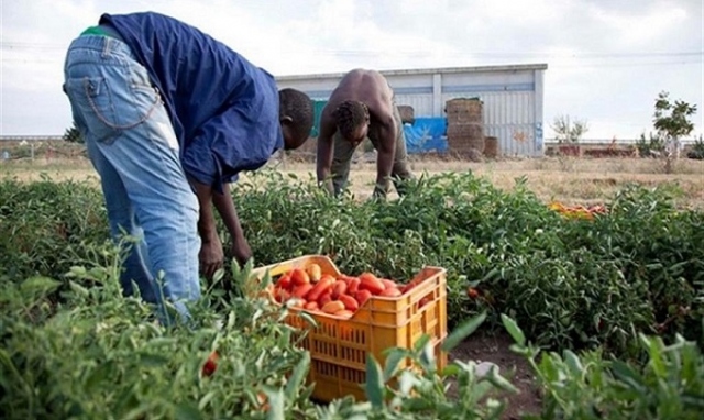 Siracusa, caporalato: la Cgil lancia la campagna “L’Isola senza catene”