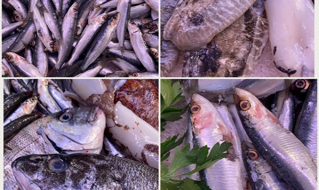 Augusta, sequestrati 20 chili di pescato privo di tracciabilità