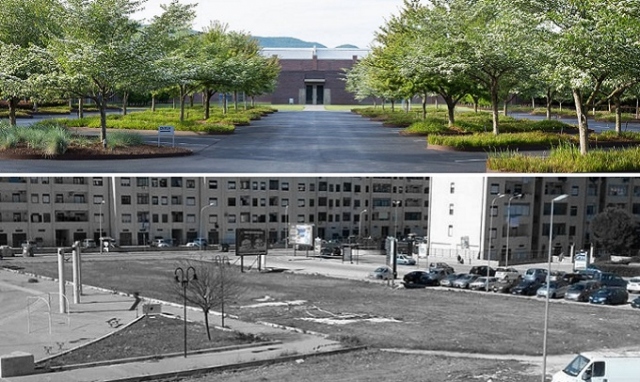 Siracusa, carenza di alberi e zone green