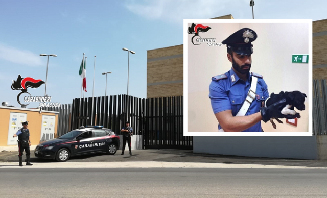 Augusta, ruba il cucciolo ad un anziano: denunciata animalista