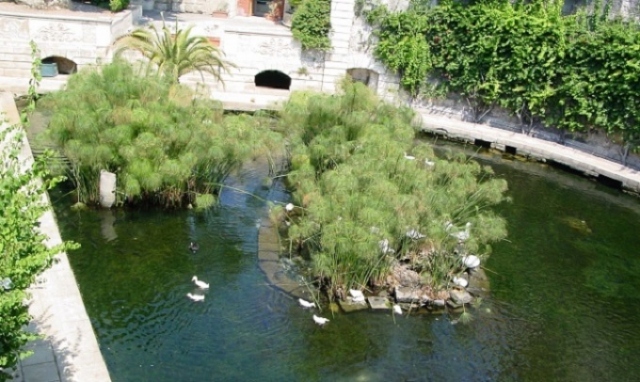 Siracusa, forzati i cancelli della Fonte Aretusa: interviene la Polizia municipale