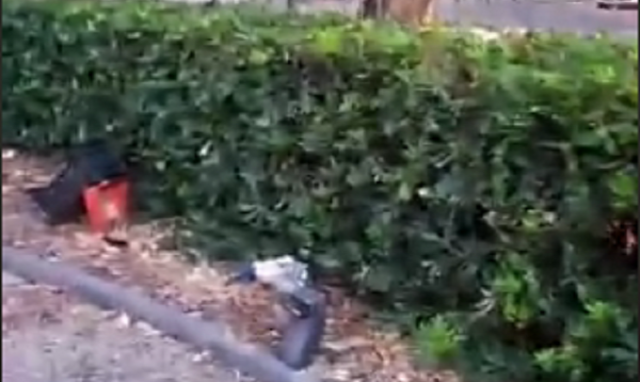 Siracusa, Fratelli d'Italia: "Anche ai Villini l'intervento dei forestali"