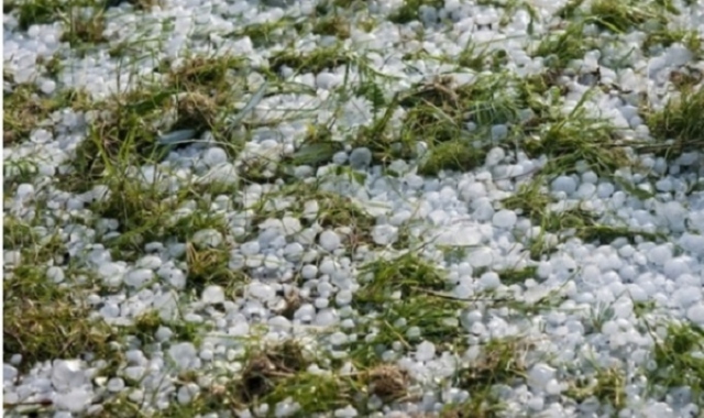 Siracusa, siccità e gelate del 2017: arrivano le ricorse per le aziende agricole