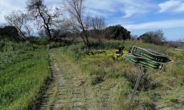 Priolo, un anno dopo il grande incendio la riserva Saline rinasce