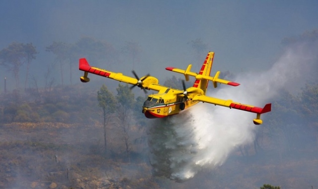 Incendi nel Palermitano, nelle ultime ore 50 interventi