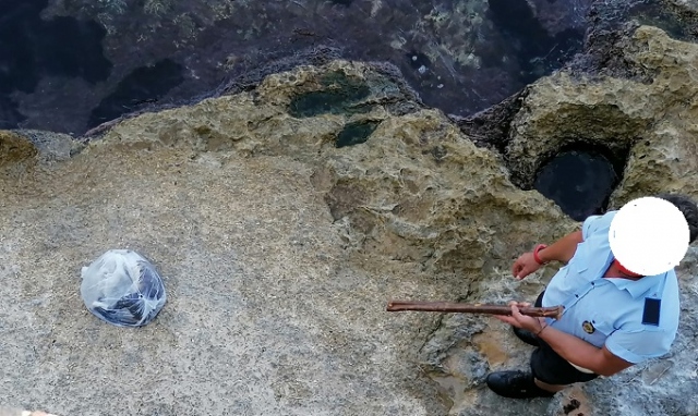 Siracusa, chiuso in un sacchetto di plastica e gettato in mare: la triste fine di un povero gatto