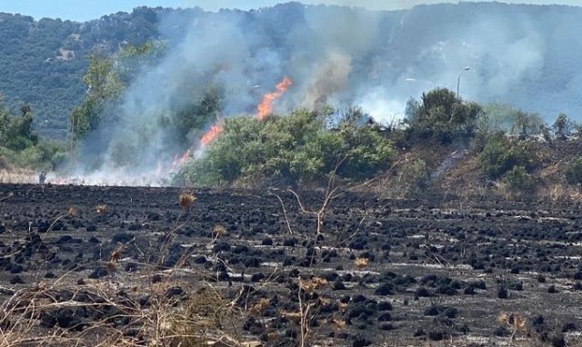 Priolo, 4 incendi in zone diverse: intervento di Vigili del fuoco, Protezione civile e Forestale