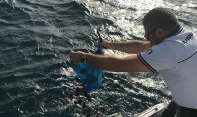 Augusta, sub a pesca di ricci: sanzione di 2.000 euro