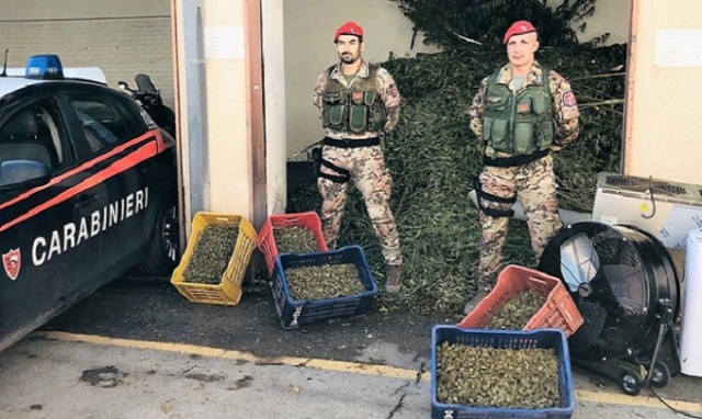 Paternò, sequestrati 1.300 chili di marijuana: 6 arresti