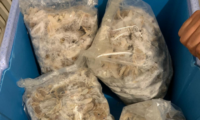 Carlentini, pesce senza tracciabilità in un ristorante: sequestro e sanzione