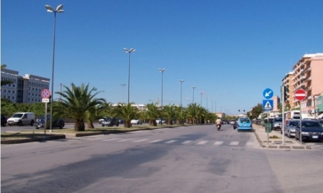 Siracusa, tagliava palme in viale Santa Panagia: denunciato 31enne