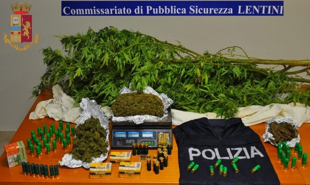 Lentini, sequestrata piantagione di marijuana, pistola ed esplosivo