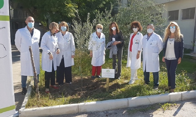 Siracusa, Giornata Nazionale Avo: donato un albero di ulivo all'istituto Costanzo