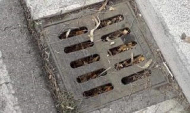 Siracusa, pulizia caditoie: al via oggi il nuovo ciclo