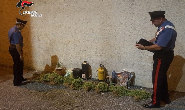 Cassibile, mini serra di canapa indiana nel giardino di uno stabile abbandonato