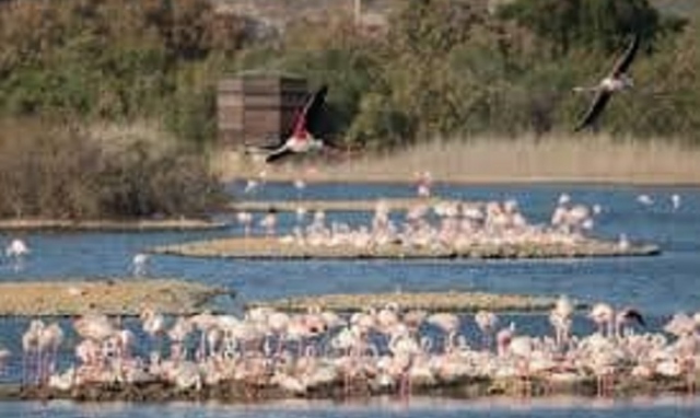 Priolo, convenzione tra Comune e Lipu per migliorare la fruibilità della Riserva Saline