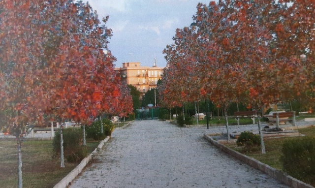 Siracusa, Festa dell'albero: 3 progetti dedicati a piazza Santa Lucia, Bosco Minniti e scuola Archia