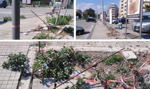 Siracusa, pericolosi paletti in ferro abbandonati nelle aiuole dei pini tagliati in piazza Adda