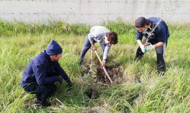 Siracusa, piantati altri 200 alberi al Bosco delle Troiane