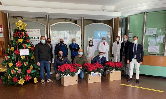 Siracusa, Federfiori dona stelle di Natale all'ospedale Umberto I