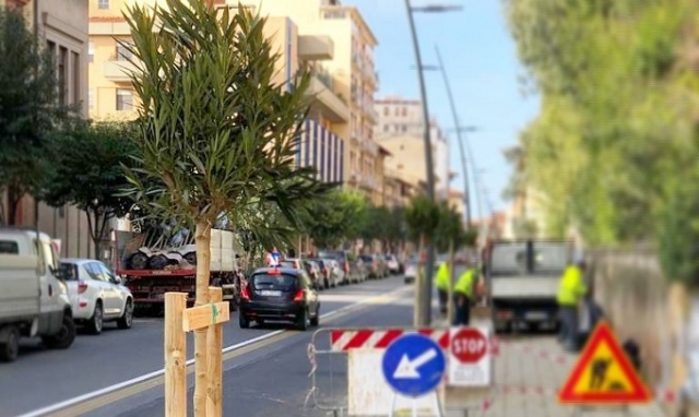 Siracusa, manutenzione verde pubblico: entro marzo ripristino alberature