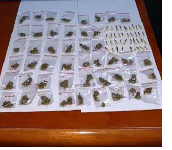 Droga interno articolo