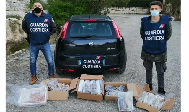 Augusta, rivendita all'ingrosso: sanzione e sequestro di 75 chili di pescato