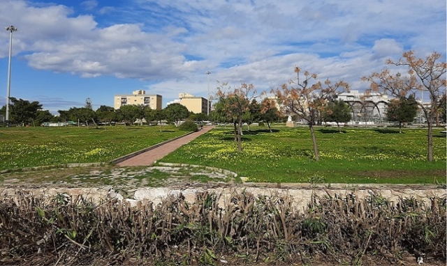 Siracusa, sistemazione del verde al parco Robinson per renderlo fruibili e sicuro