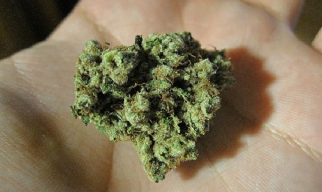 Siracsua, controlli antidroga: una denuncia e una segnalazione