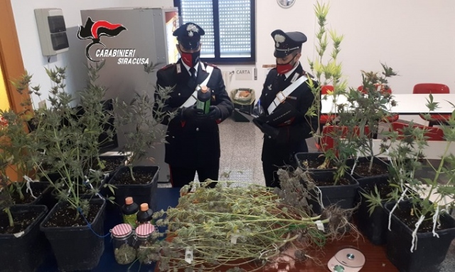 Floridia, serra di marijuana in casa: in manette un giovane