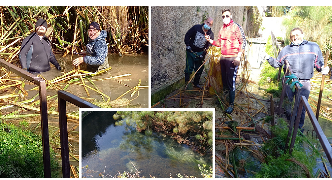 Fonte aretusa articolo