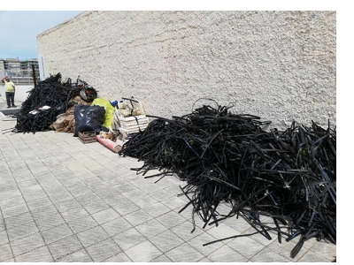 Pulizia bosco delle Troiane