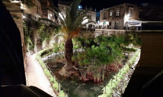 Siracusa, la Fonte Aretusa rinasce a nuova vita: intervento di pulizia della Ross
