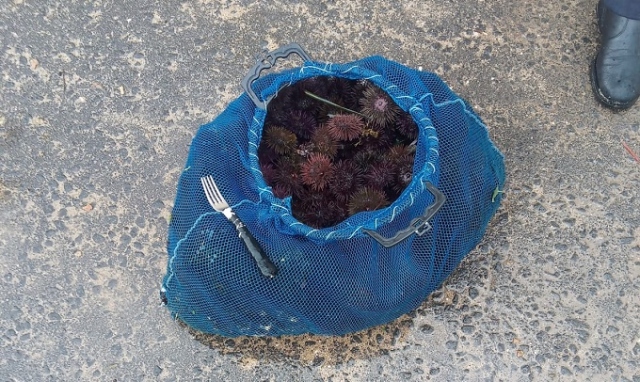 Siracusa, attività antibracconaggio all'Area Marina protetta: istituita task force di vigilanza