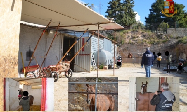 Corse clandestine di cavalli, controlli a Noto: sanzioni per 9.000 euro