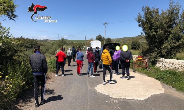 Corsa clandestina di cavalli sulla Maremonti, arrivano i Carabinieri e denunciano 16 persone