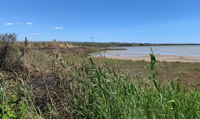 Sopralluogo a Vendicari, il sindaco Bonfanti: "Collaborazione per assicurare un presidio continuo dell’Oasi"