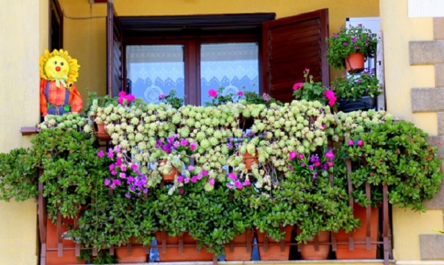 Siracusa, "Belvedere in fiore": premiati balconi e vetrine