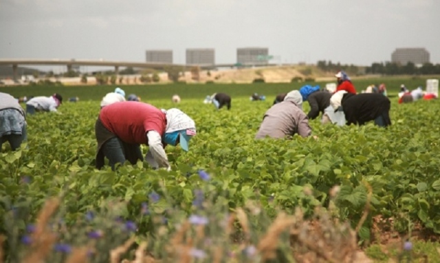 Siracusa, in dirittura d'arrivo per la prevenzione delle attività illecite in agricoltura