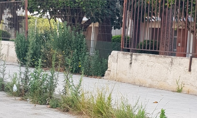 Siracusa, verde pubblico e igiene urbana: le perplessità di Fdi